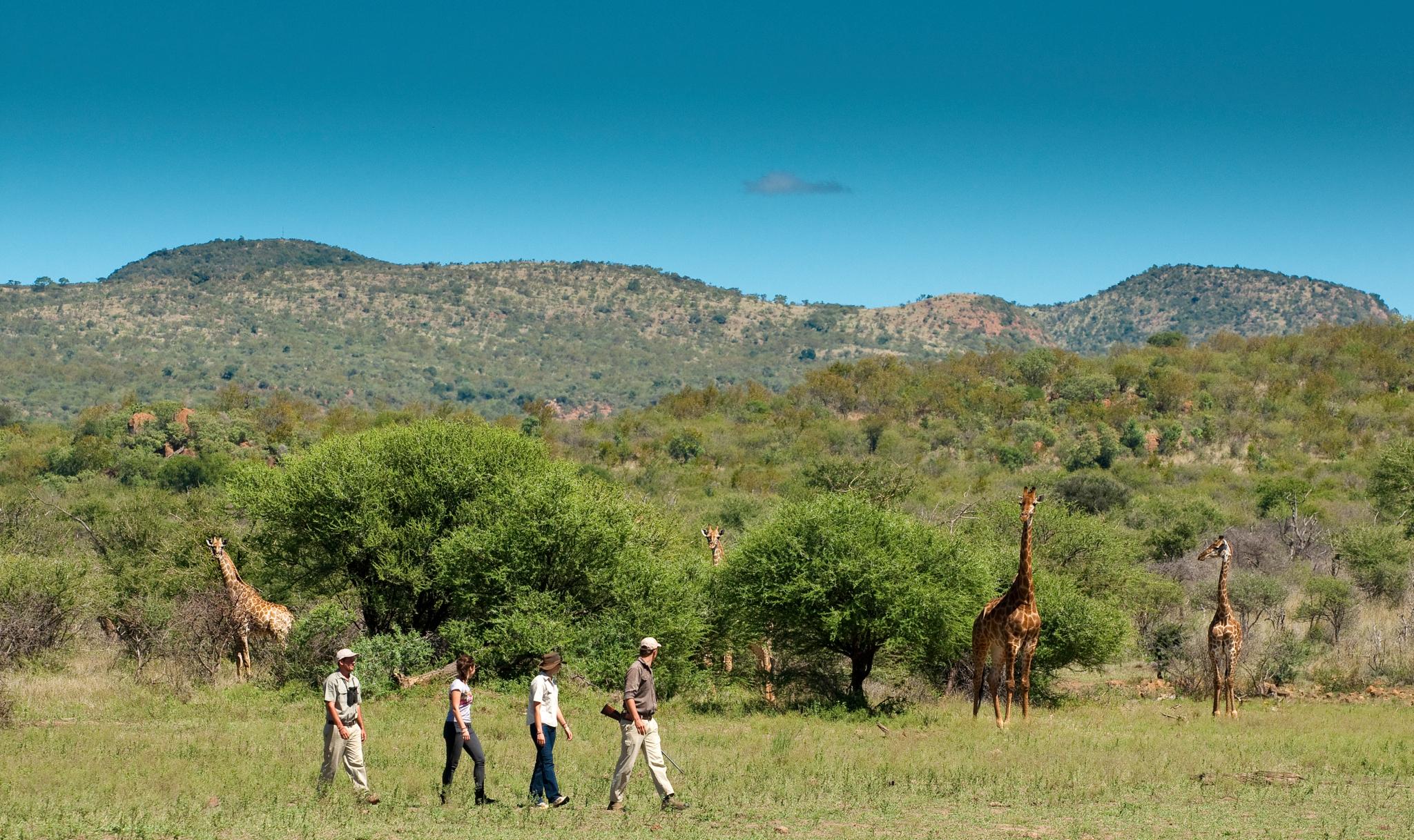 Madikwe Safari Lodge Madikwe Game Reserve Exterior photo